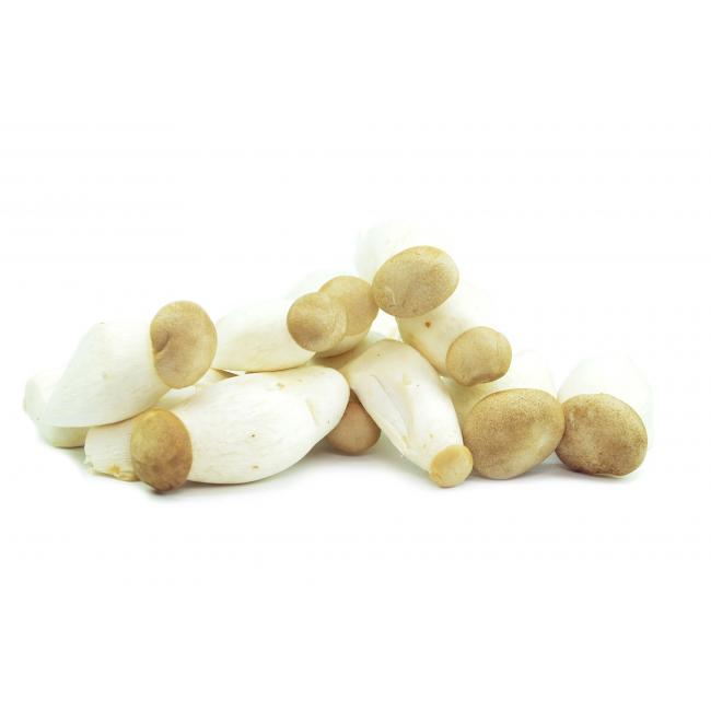 Mini king oyster mushroom