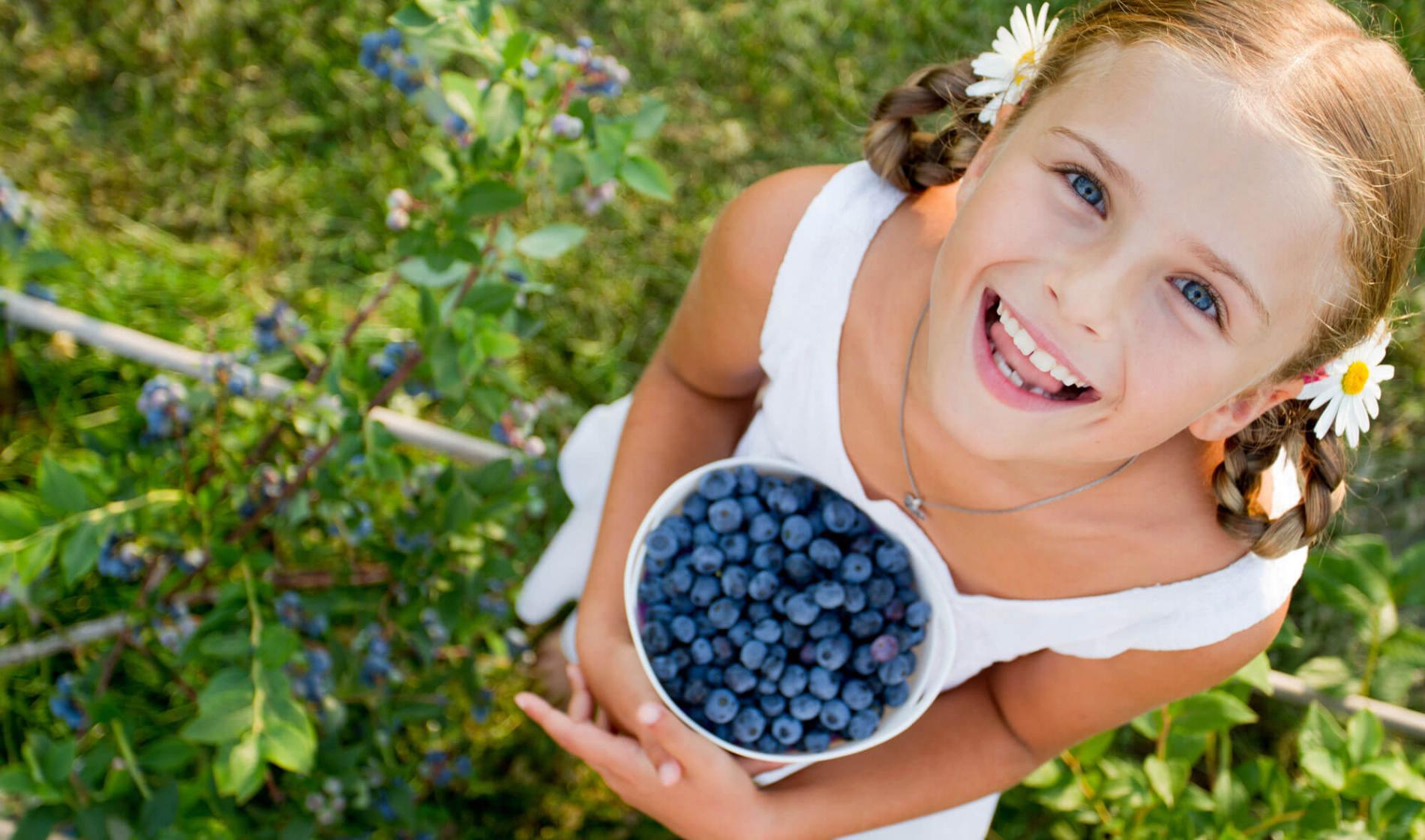 Blueberries