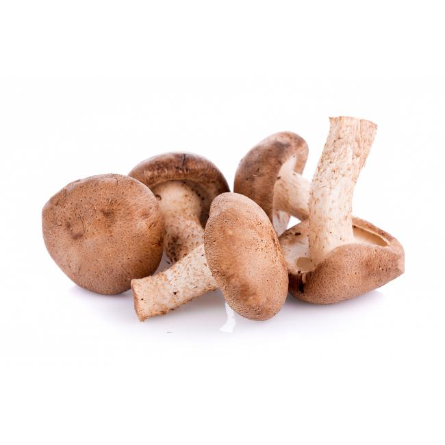 Shiitake