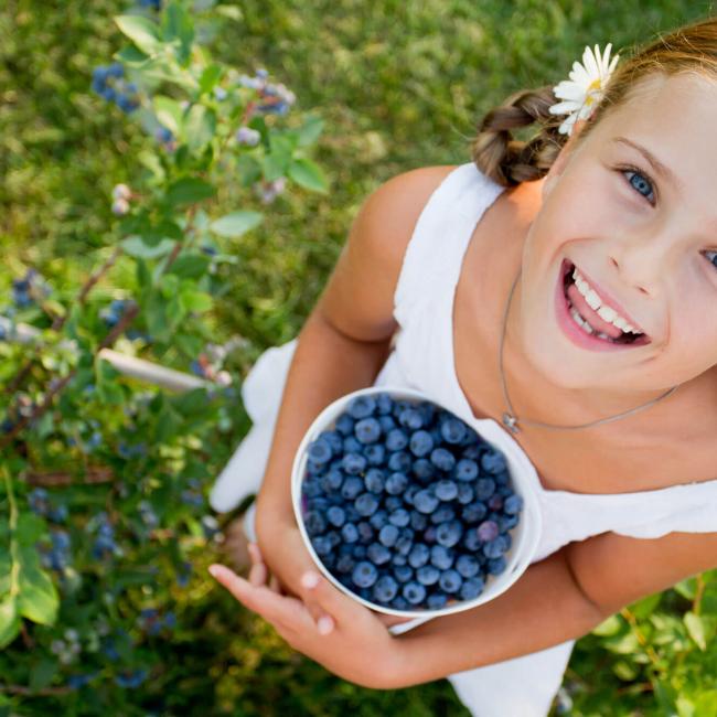 Blueberries