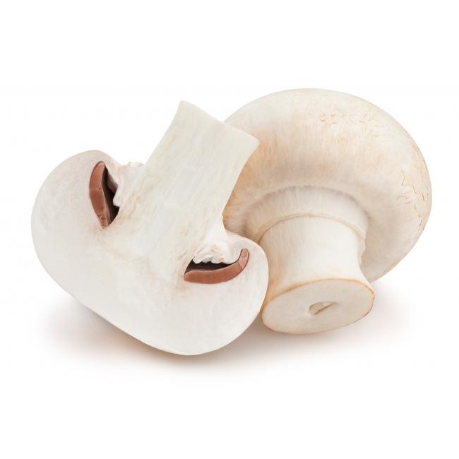 White mushroom