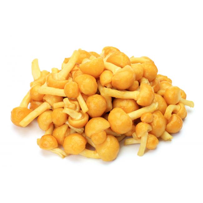 Viscid mushroom (Nameko)