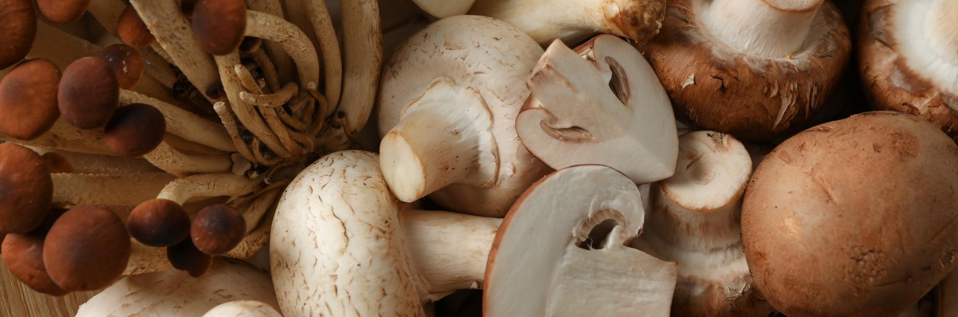 Cultivated mushrooms