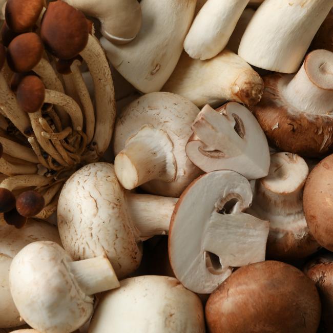 Cultivated mushrooms
