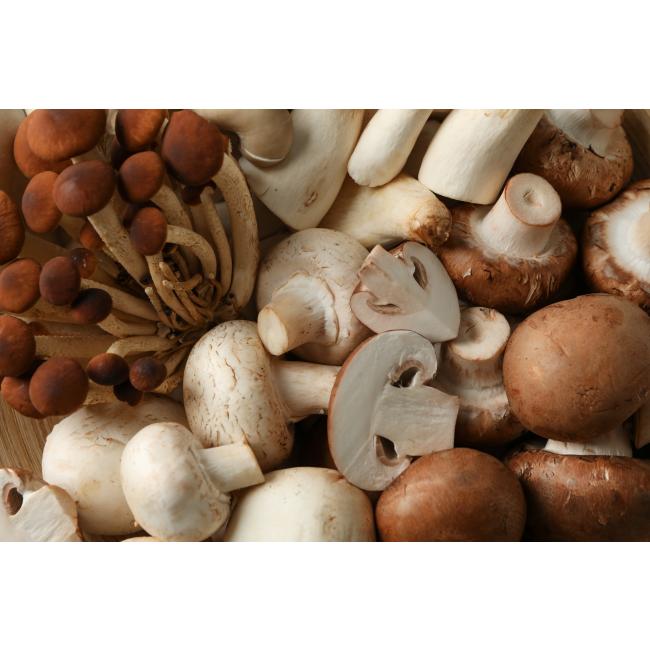 Vitamine D mushrooms