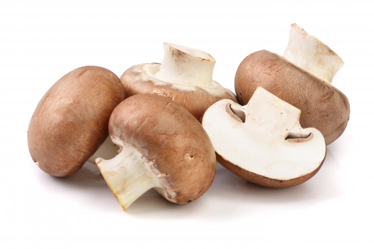 Chestnut mushroom