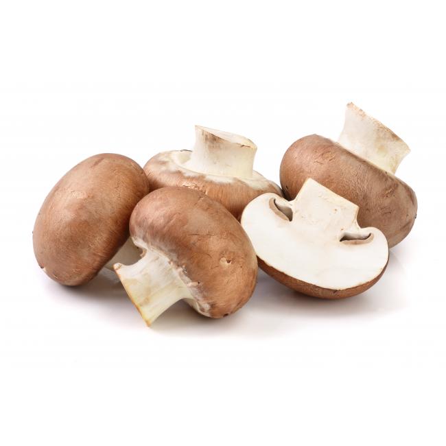 kastanjechampignons.jpeg