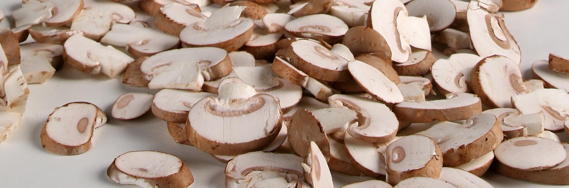 The opportunities of the chestnut mushroom and how to capitalise on  them