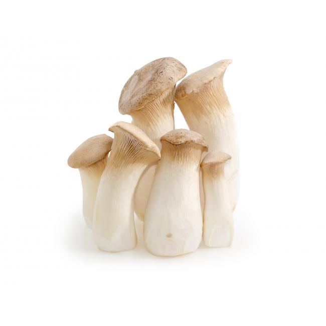 King oyster myshroom