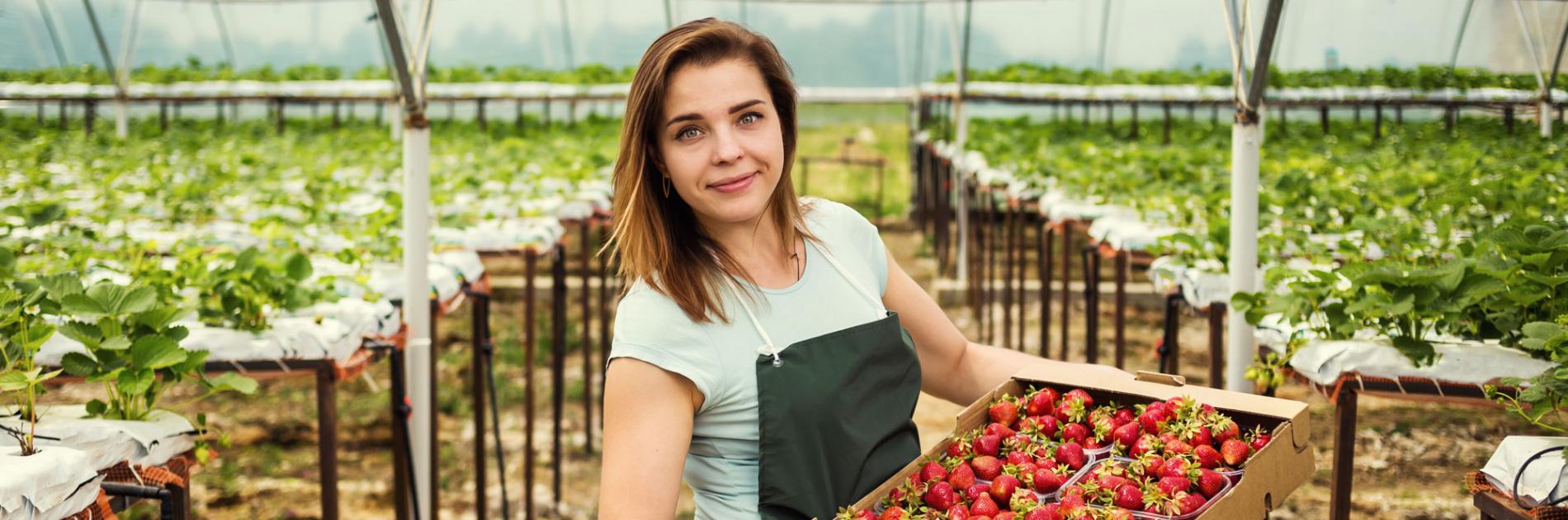 Navigating the Future of Retail with AI